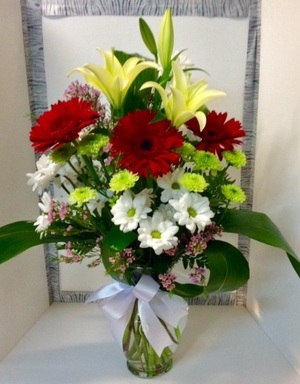 12-Trio Gerbera