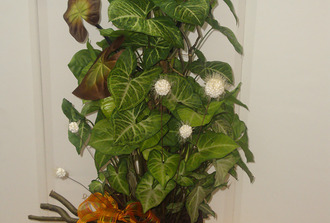 Syngonium  dcor avec fleur et salix ,vase  carr