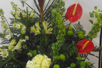 25- Anthurium rouge, hydrang pinochio vert