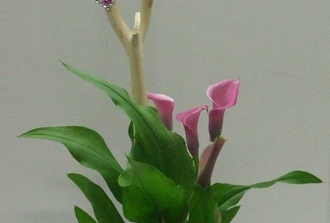 lys calla dans vase  bordure cuivr