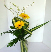 2- Le Gerbera