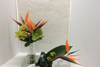 bouquet exotique oiseau du paradis orchide,anthurium protas