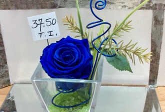 rose ternelle bleue dans vase  trapeze transparent