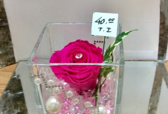 rose ternelle fushia dans vase carr transparent