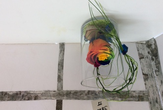rose ternelle rainbow dans vase transparent