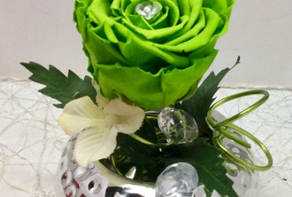 17- rose ?ternelle verte,vase chrome