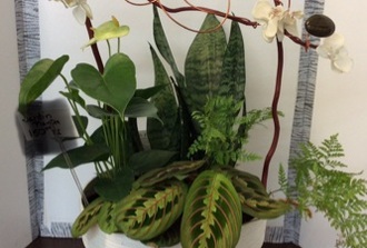 Jardin de plantes decore avec fleurs de soie