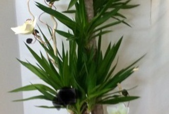 Yucca 2 poles decore avec fleurs de soie et cache-pot